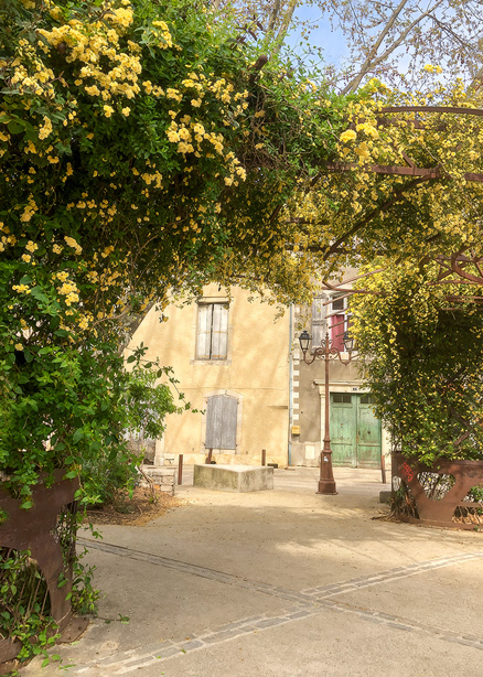 olivet_flowerpergola