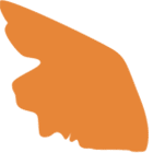 face-orange_1x1_140px